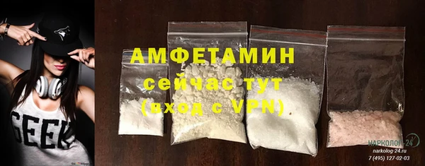 спиды Богородицк