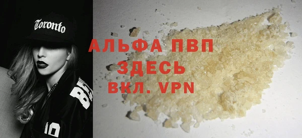 спиды Богородицк