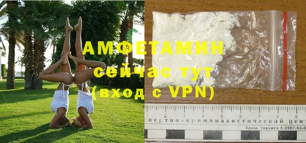спиды Богородицк