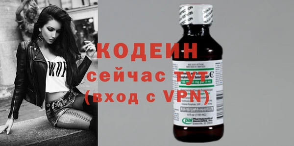 спиды Богородицк