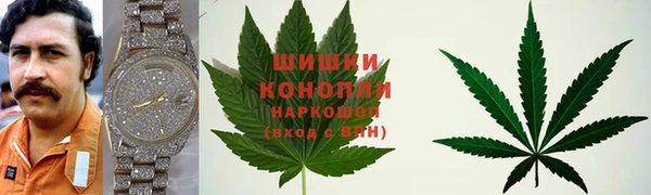 винт Богданович