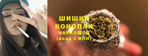 винт Богданович