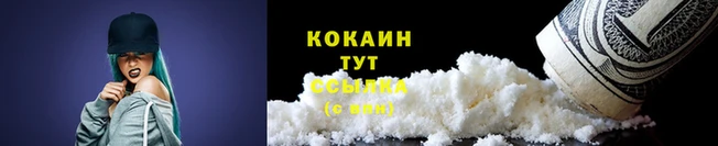 спиды Богородицк