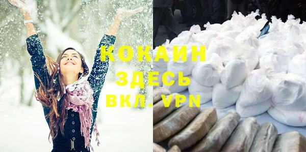 винт Богданович