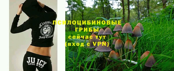 винт Богданович