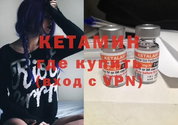 спиды Богородицк