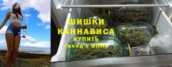винт Богданович