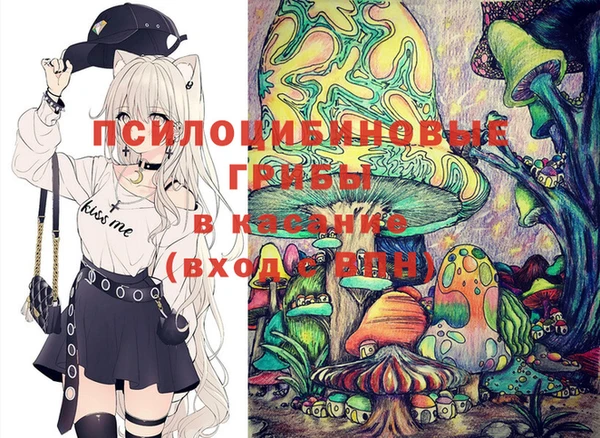 2c-b Богородск