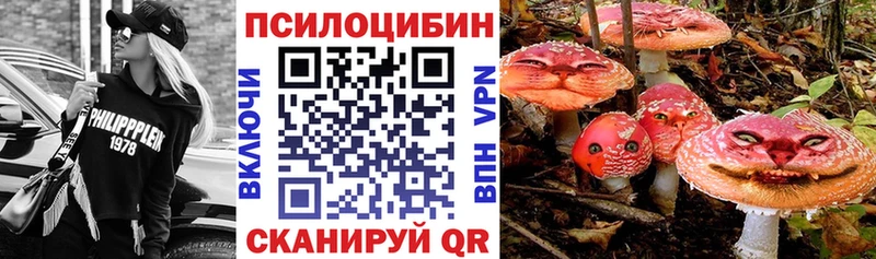 магазин продажи наркотиков  Цоци-Юрт  Псилоцибиновые грибы MAGIC MUSHROOMS 